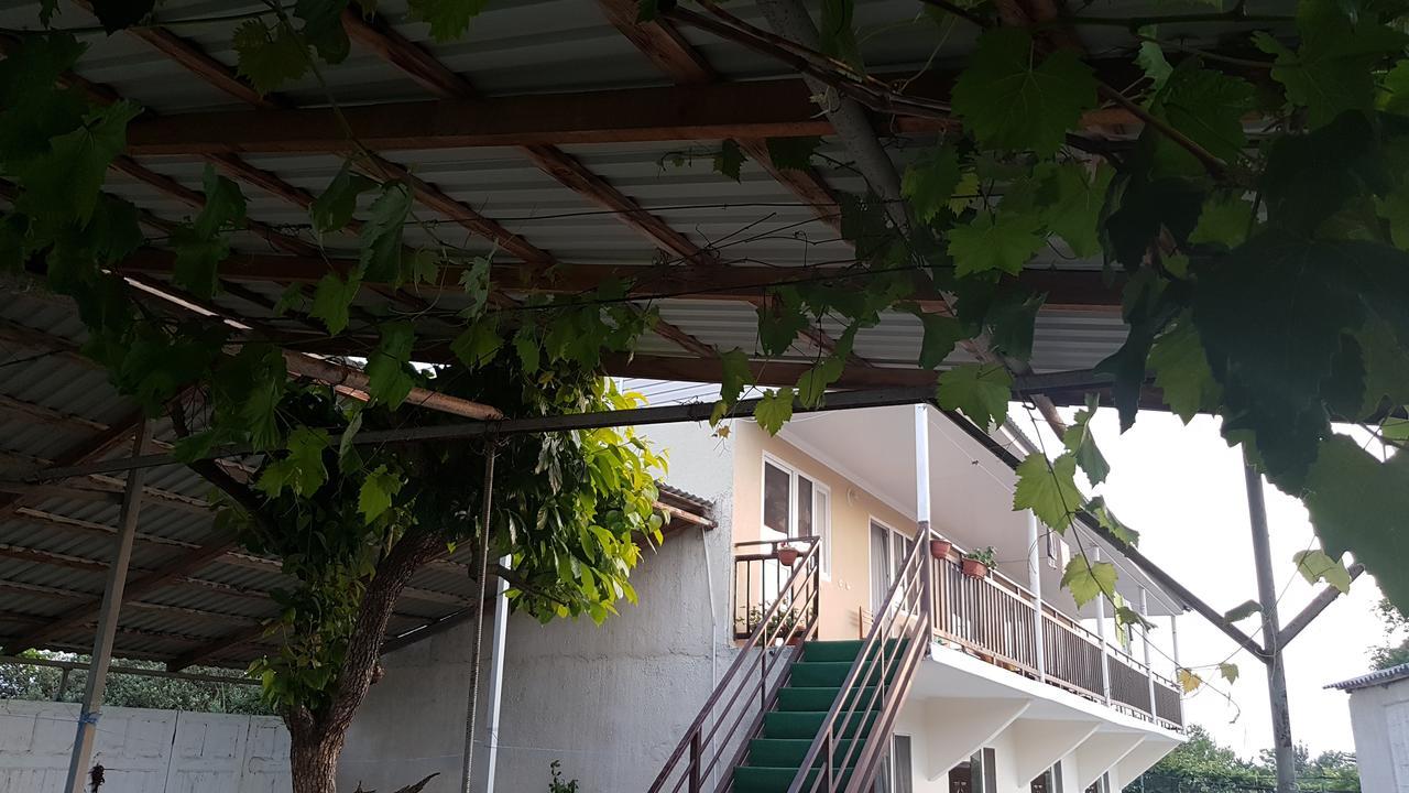 Alakhadze Sysanns Guest House المظهر الخارجي الصورة